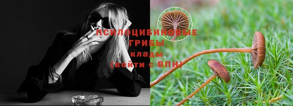 спиды Щучье