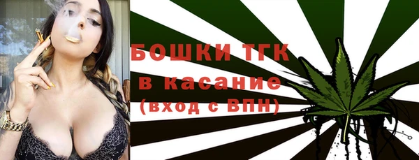 индика Нягань