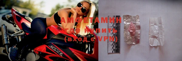 индика Нягань