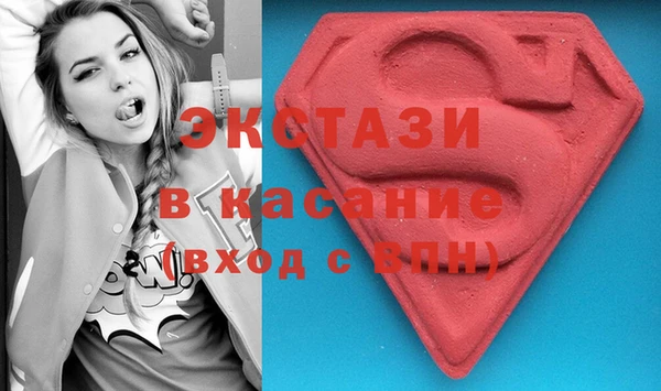 индика Нягань
