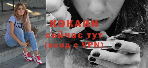 mdpv Няндома