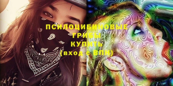 индика Нягань