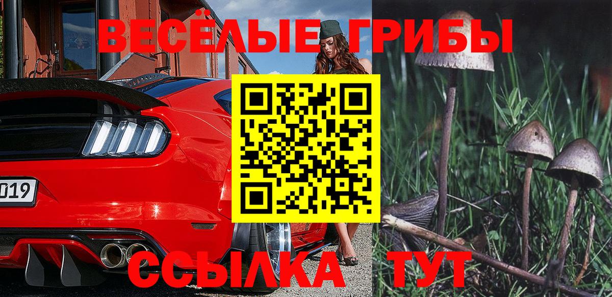 Галлюциногенные грибы GOLDEN TEACHER  Вход с VPN  Вольск 