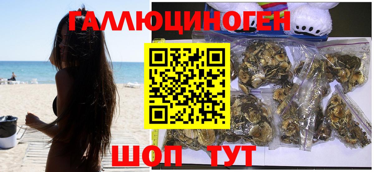Псилоцибиновые грибы прущие грибы Вольск